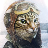 Hans Freitag's avatar
